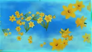 МИЛОДИЯ ДЛЯ ДУШИ ГАВАЙСКИЙ ВАЛЬС