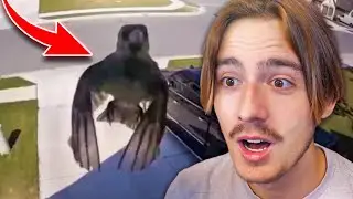 0.000001% Chance of This Happening!