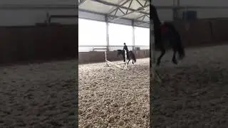 /Конкур\Новый формат🌼Конный спорт🐴