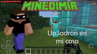 Aquí no hay quien viva 🕵🏼 Un ladrón en la casa de Bugatti