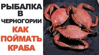 Fishing in Montenegro - How to Catch a Crab