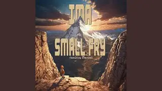 IMA Small Fry (feat. ElectroD)