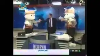 Mehih Gökçek ve trafoya giren kediler