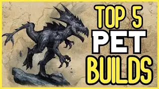 Top 5 PET Builds For The Elder Scrolls Online! ESO Flames Of Ambition DLC Update!