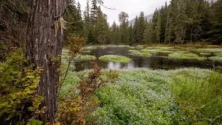 Nass Valley Landscape Photo Vlog
