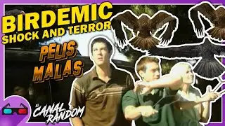 HORRIBLE MOVIES: BIRDEMIC: The worst bird horror movie