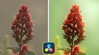 Light Rays Effect | Davinci Resolve Effects | Color Correction Davinci Resolve | Hindi