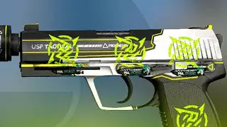 [USP-S | Torque] Sticker Combinations - CSGO