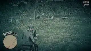 Getting Double Teamed By Cougars 😏 ● Red Dead Online