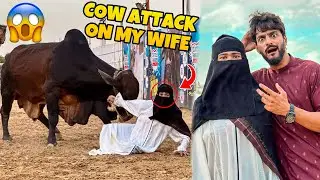 COW ATTACK ON MY WIFE 😱 | COW MANDI VLOG 😍 | MISHKAT KHAN