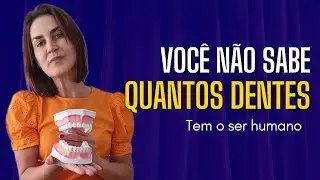 QUANTOS DENTES TEM NA BOCA DO SER HUMANO?