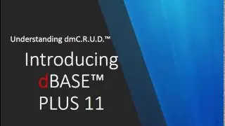 dmCRUD Overview