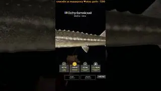 Russian Fishing 4/Baltic Sturgeon Trophy! 