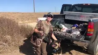 Sam the Super Shepherd 2021
