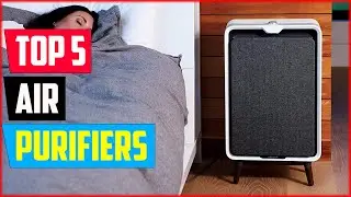 Top 5 Best Air Purifiers of 2024
