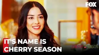 Oyku Tries To Reach Onem Dincer - Cherry Season Episode 1
