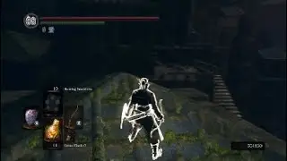 Youve Heard of Ladder Souls but Have You Heard of Roof Souls