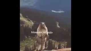 Суслик орёт!