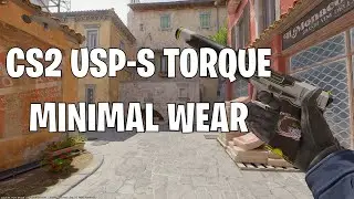 USP-S Torque | CS2 SKIN SHOWCASE #45