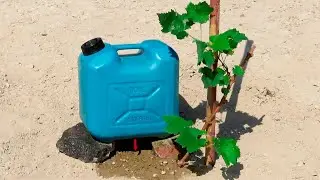 Sistema de riego por goteo simple y barato fácil de hacer y rápido con un bidon de doce litros