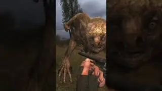 STALKER СКОЛЬКО ПОНАДОБИТЬСЯ ПАТРОН В_револьвер_ЧТОБЫ УБИТЬ |ПСЕВДОГИГАНТА|