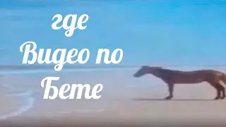 Где видео по бете SCP SL 11.0?