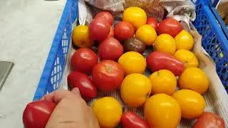 Сохранившиеся томаты на 1 декабря.  Суперсалатик