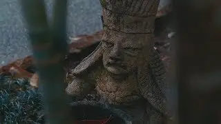 t h e  f a r m