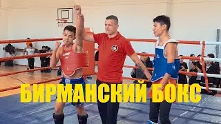 TFC-2 Бирманский бокс-Астана 11.12.2022