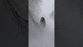 Зима в России