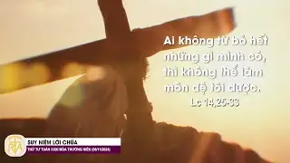 Suy Niệm Lời Chúa, Thứ Tư Tuần XXXI Thường Niên (06/11/2024)