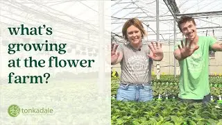 What's Growing at the Flower Farm