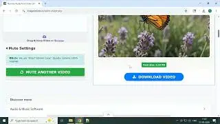 How to Remove Audio from Video Online Free (Without Uploading!) | ImageOnline