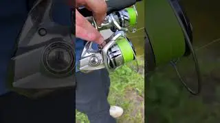 Отличия Shimano Stradic 19 и 23 года #рыбалка #катушка