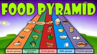 Nutrition, Food Pyramid, Healthy Eating, Educational Videos for Kids, Funny Game for Children