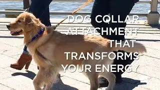 The Power Lab: Energy Generating Dog Collar Attachment In 1 Minute | Uncharted Power
