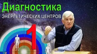 Целитель Виктор Руденко: Мастер-класс, ч.1/3 Диагностика чакр. Москва 2018
