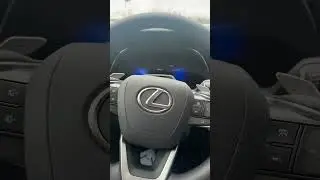Nightfall Mica 2024 Lexus TX 350 Startup💙 