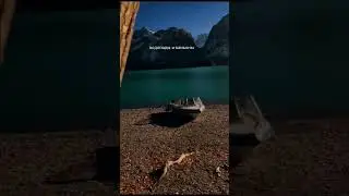 Тирамоҳи заррин дар кӯҳистони Тоҷикистон 🇹🇯                