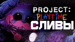 Новый монстр (слитая информация) PROJECT: PLAYTIME!