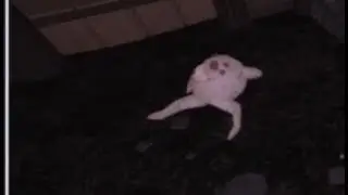 Doors 2 but i cry myself to sleep since i played with my frens