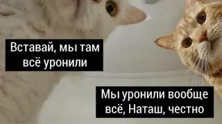 Наташа, вставай!! Мы все уронили!!