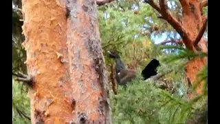 Природа Вашки на Удоре