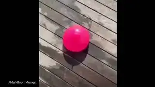 Balloon's a traitor, Funny Memes 😂