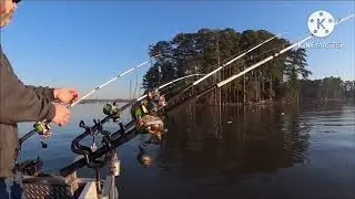 GREATEST HITS 9 STRIPER