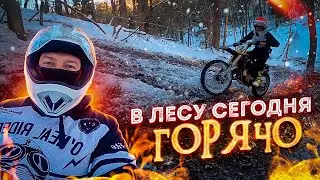 Мотоциклисты устроили ЖАРУ в лесу! Засадили Cfmoto Cforce 600.