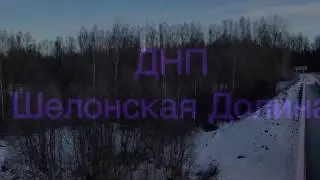 ДНП Шелонская долина. Продажа земельных участков