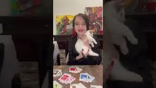 Обзор Взрывных котят