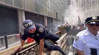 Pro-Palestine Demonstrators Light Flares and Smoke Bombs During NYC Protest