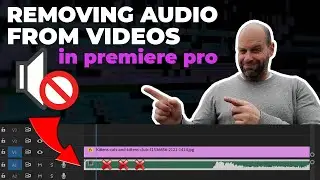 Remove Audio Completely In Premiere Pro 2024